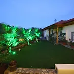 Three Palms