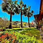 Three Palms * Акьяка