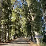 Апартаменты Three Palms Акьяка