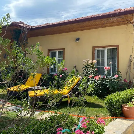 Three Palms * Акьяка