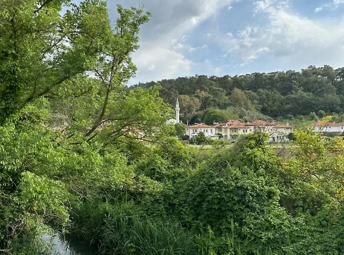 Three Palms * Акьяка