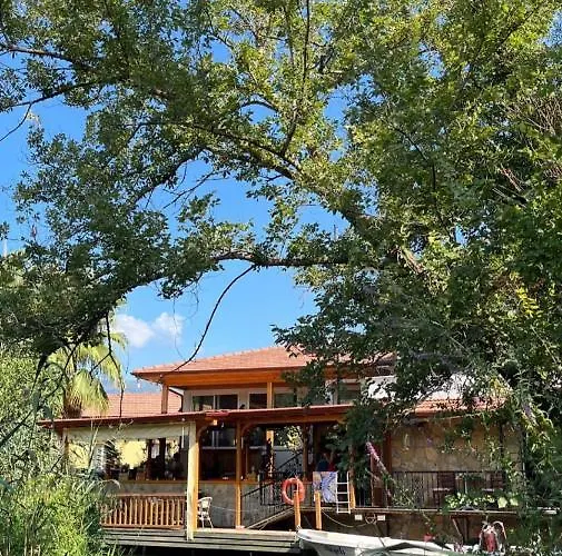 Апартаменты Three Palms *