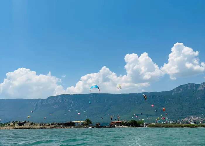 Three Palms * Акьяка