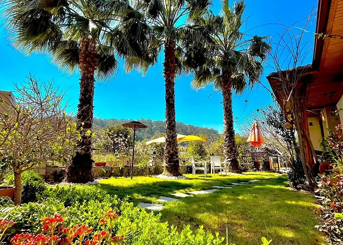 Three Palms * Акьяка