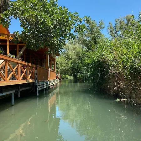 Three Palms * Akyaka (Mugla)