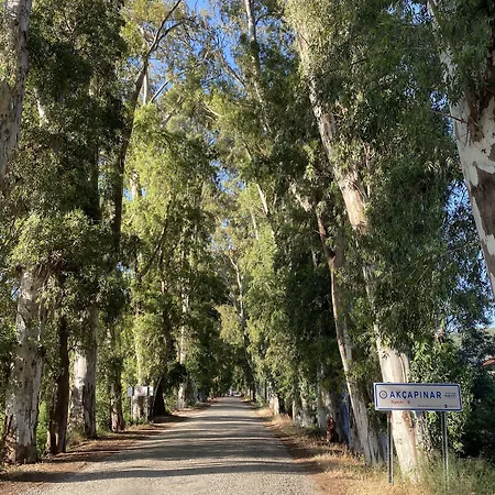 Apartment Three Palms Akyaka (Mugla)