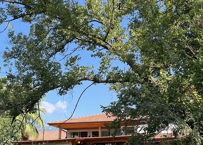 Apartmán Three Palms