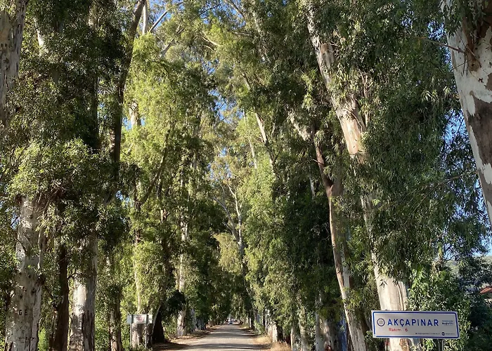 Apartmán Three Palms Akyaka (Mugla)