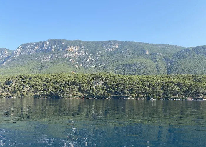 Three Palms Apartmán Akyaka (Mugla)